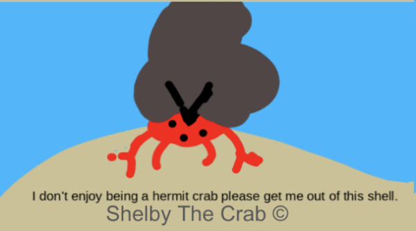 Digital Hermit Crab Shelby